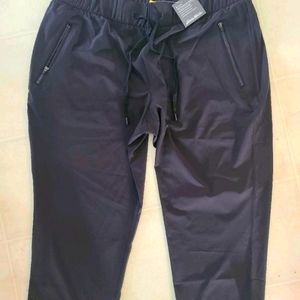 New w/tags Eddie Bauer Departure Pull On Pants sz L Petite